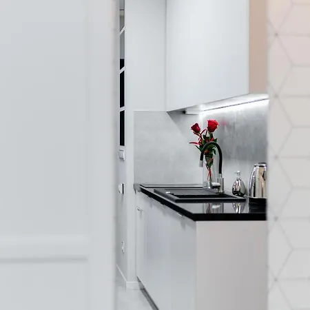 Apartment Crystal Iv Katowice